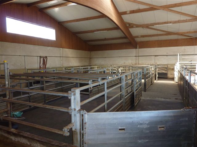 Viehhandlung Klinger Stallungen